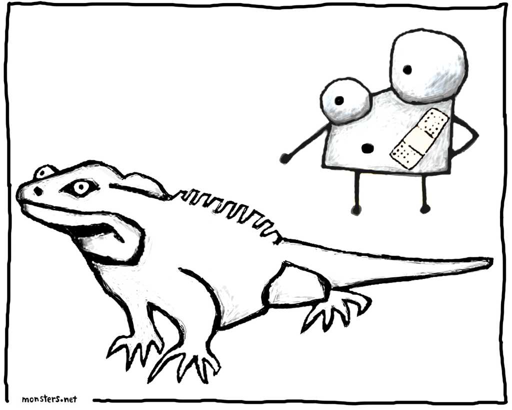 Coloring book drawings photograph. SCARY! This iguana can be green, or orange. Fillipe's bandaid can be any color you like!