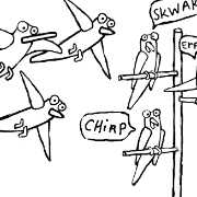 Fillipe did not like the birds