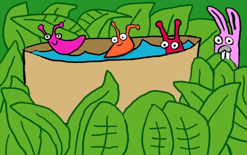 Smuckles likes the pool in the garden